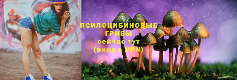 Псилоцибиновые грибы Magic Shrooms  купить наркотики сайты  Гусь-Хрустальный 